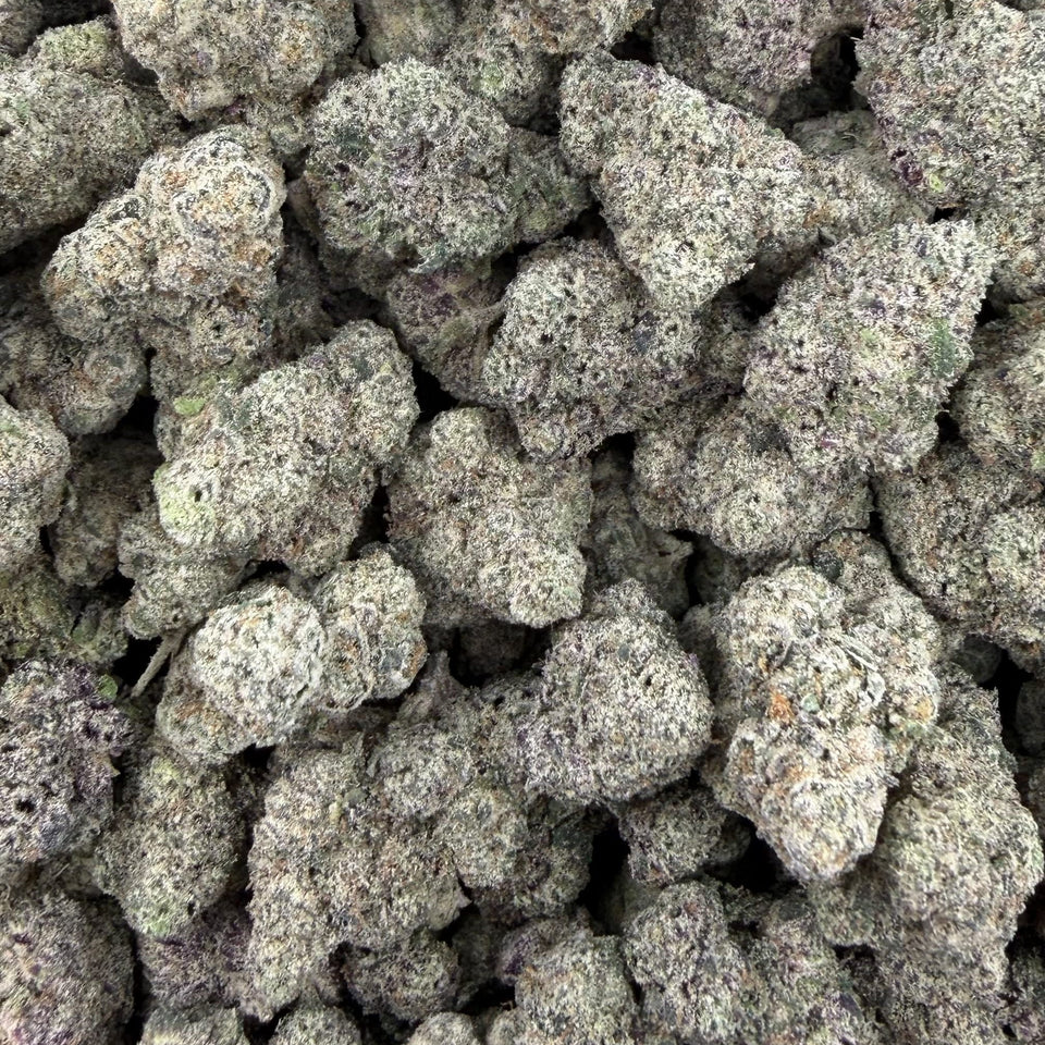 Gummie Bears (Boutique Exotic) – Bulk THCA Flower 1 lb