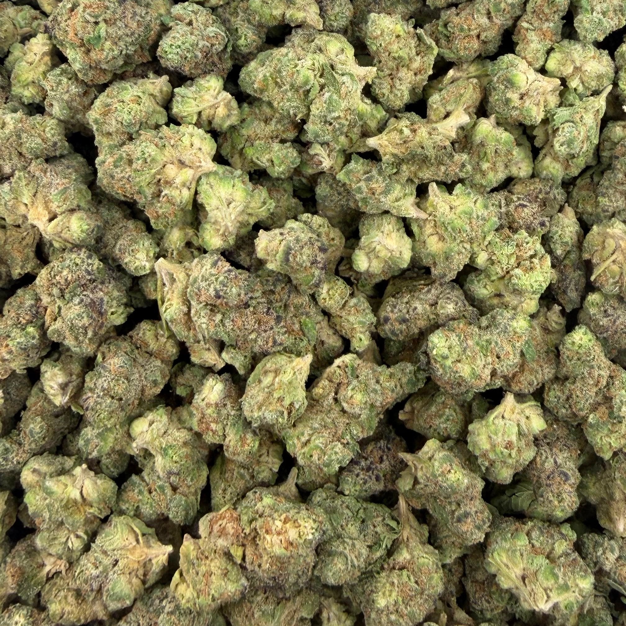 Gush Mintz bulk THCA flower — Plain Jane 1 lb