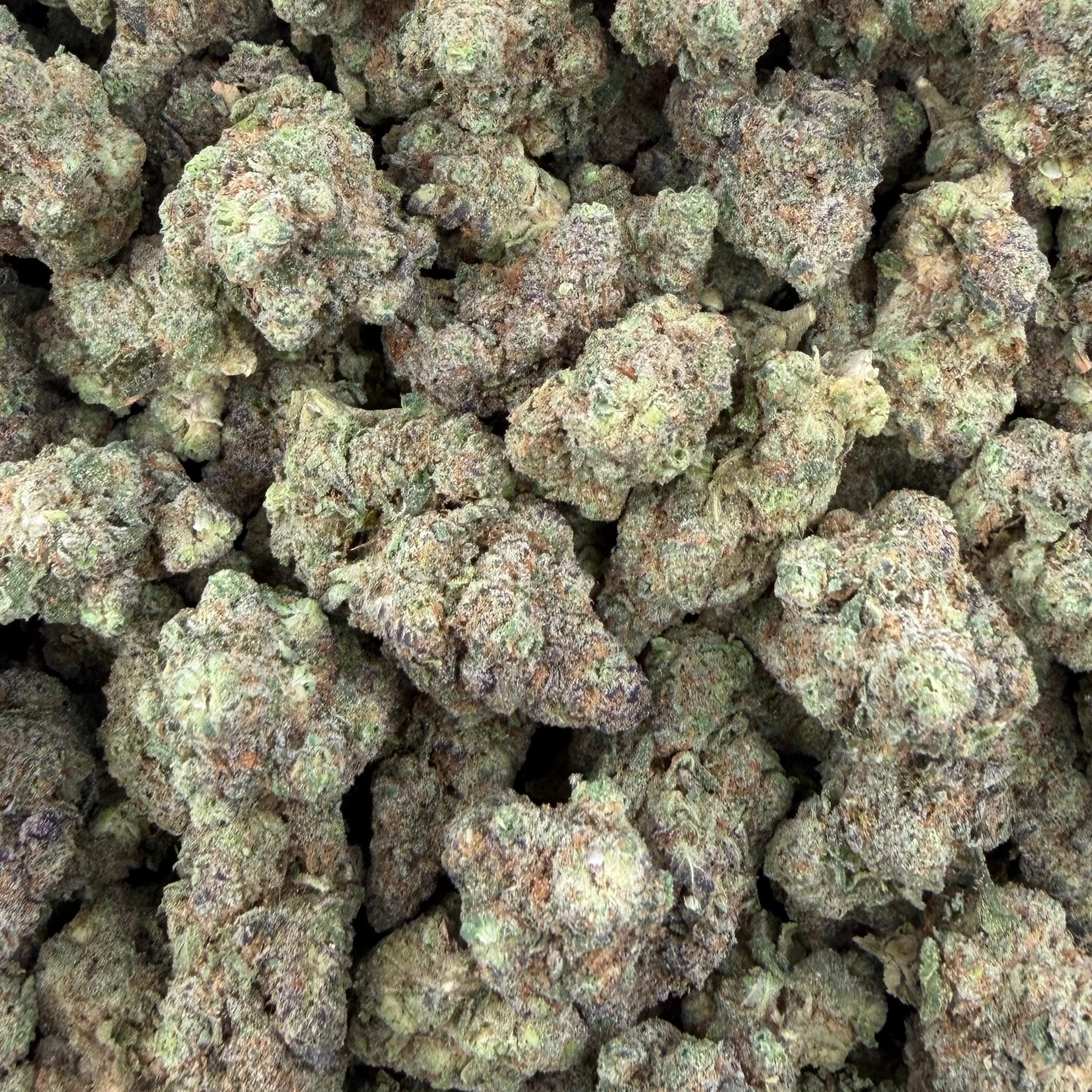 Gush Mintz bulk THCA flower — Plain Jane 1 lb