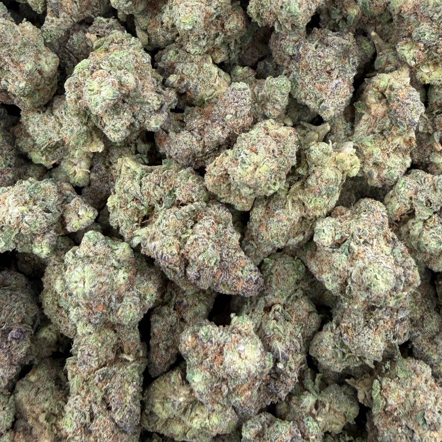 Gush Mintz bulk THCA flower — Plain Jane 1 lb