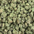 Gushers bulk THCA flower — Plain Jane 1 lb