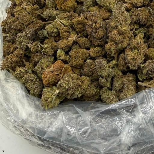 Gushers bulk THCA flower — Plain Jane 1 lb