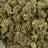 Gushers bulk THCA flower — Plain Jane 1 lb