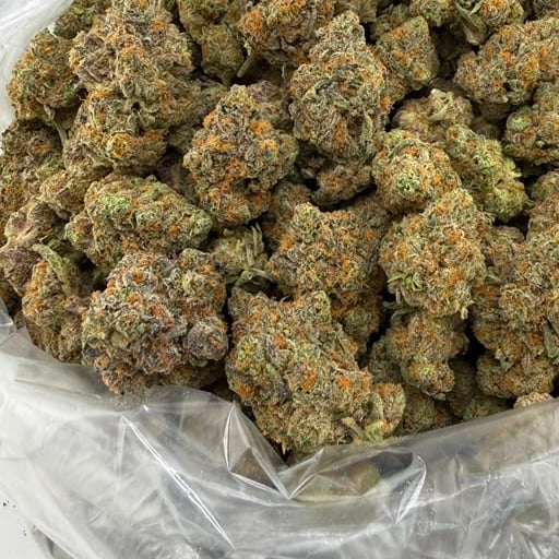 Halle Berry bulk THCA flower — Plain Jane 1 lb