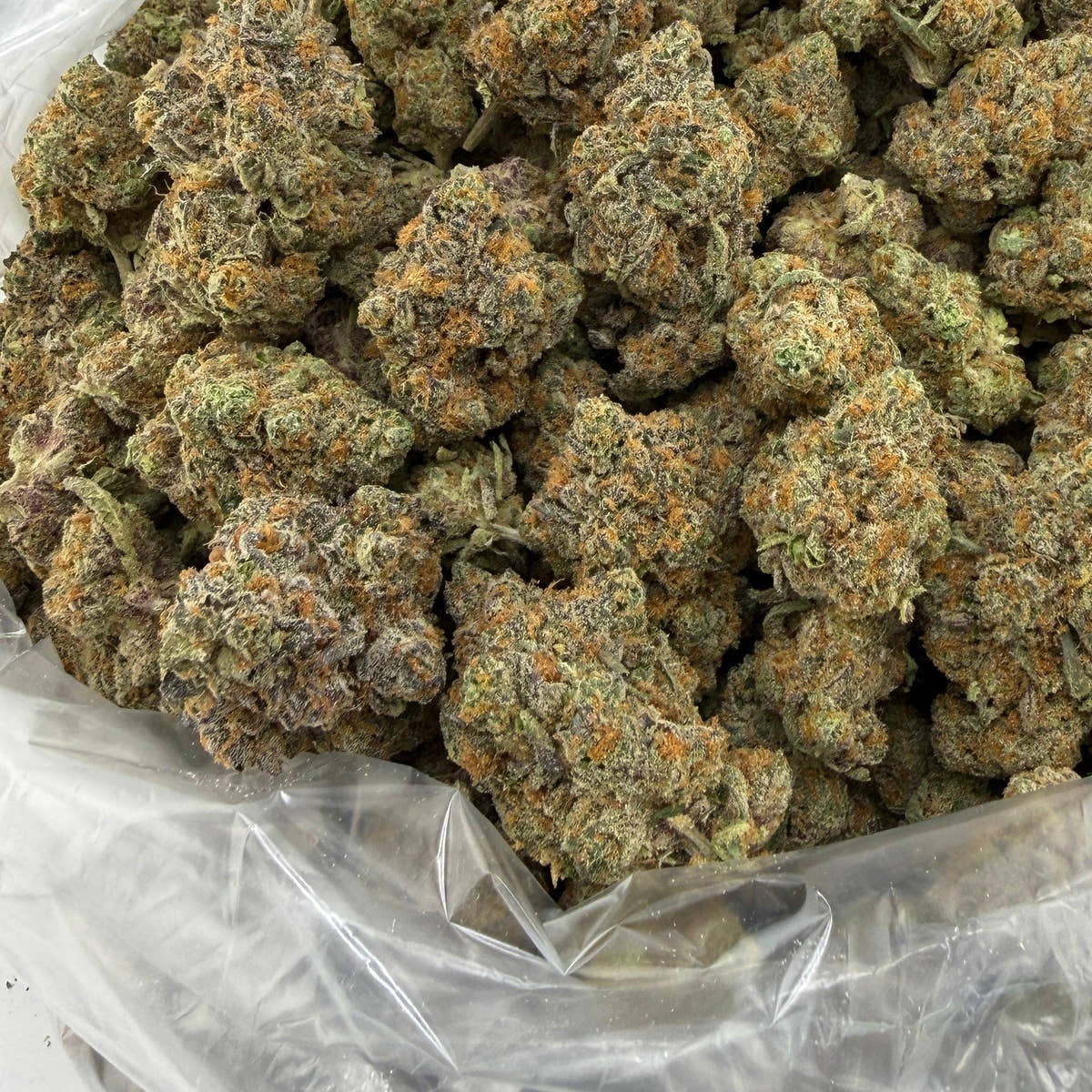 Halle Berry bulk THCA flower — Plain Jane 1 lb