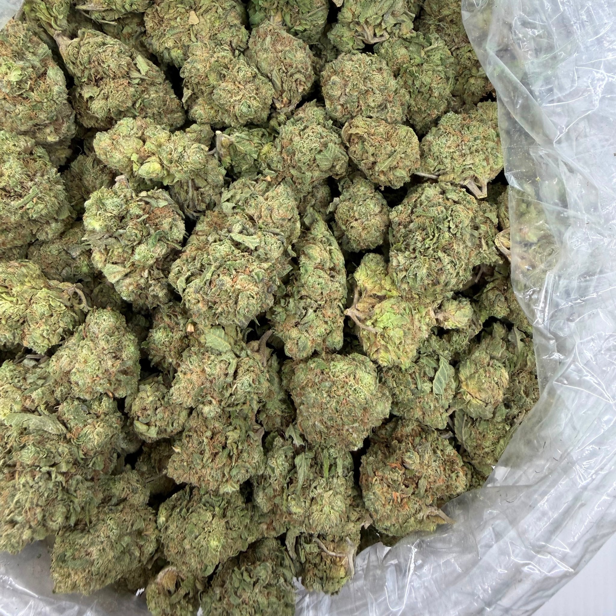 Hash Burger bulk THCA flower — Plain Jane 1 lb