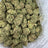 Hash Burger bulk THCA flower — Plain Jane 1 lb