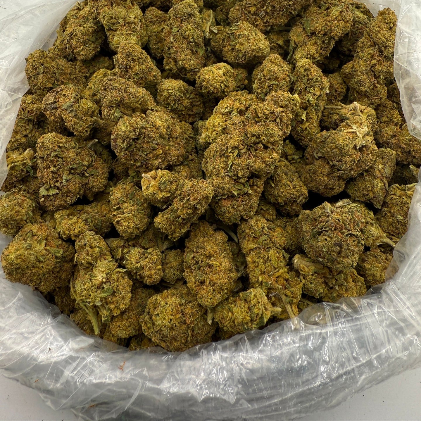 Head Band bulk THCA flower — Plain Jane 1 lb