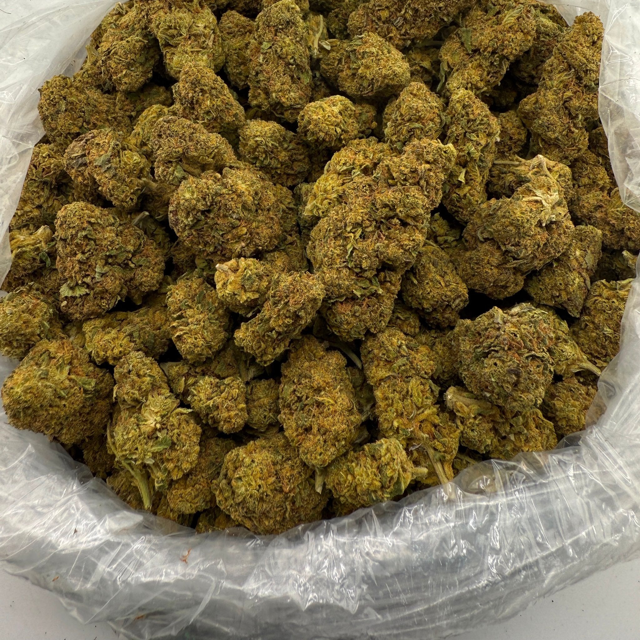 Head Band bulk THCA flower — Plain Jane 1 lb