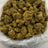 Head Band bulk THCA flower — Plain Jane 1 lb