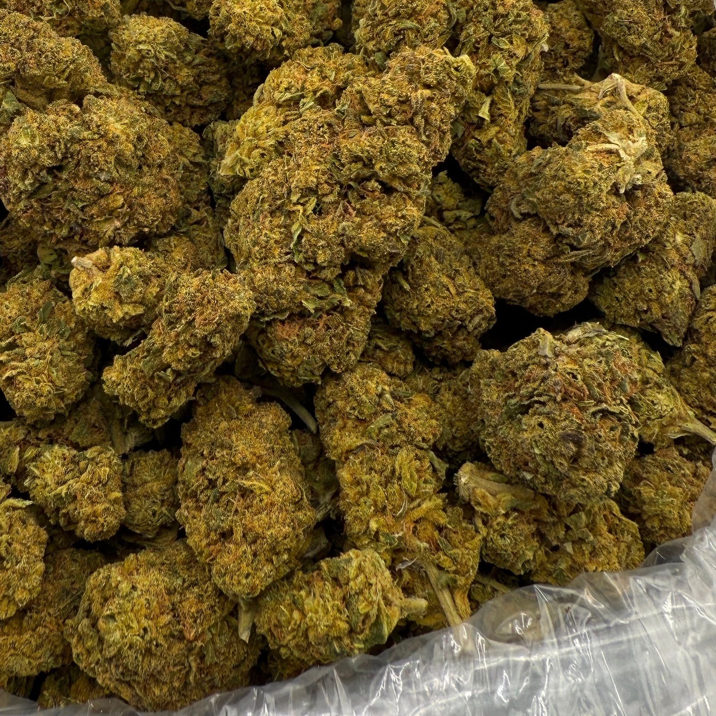 Headband bulk THCA flower — Plain Jane 1 lb