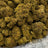Headband bulk THCA flower — Plain Jane 1 lb