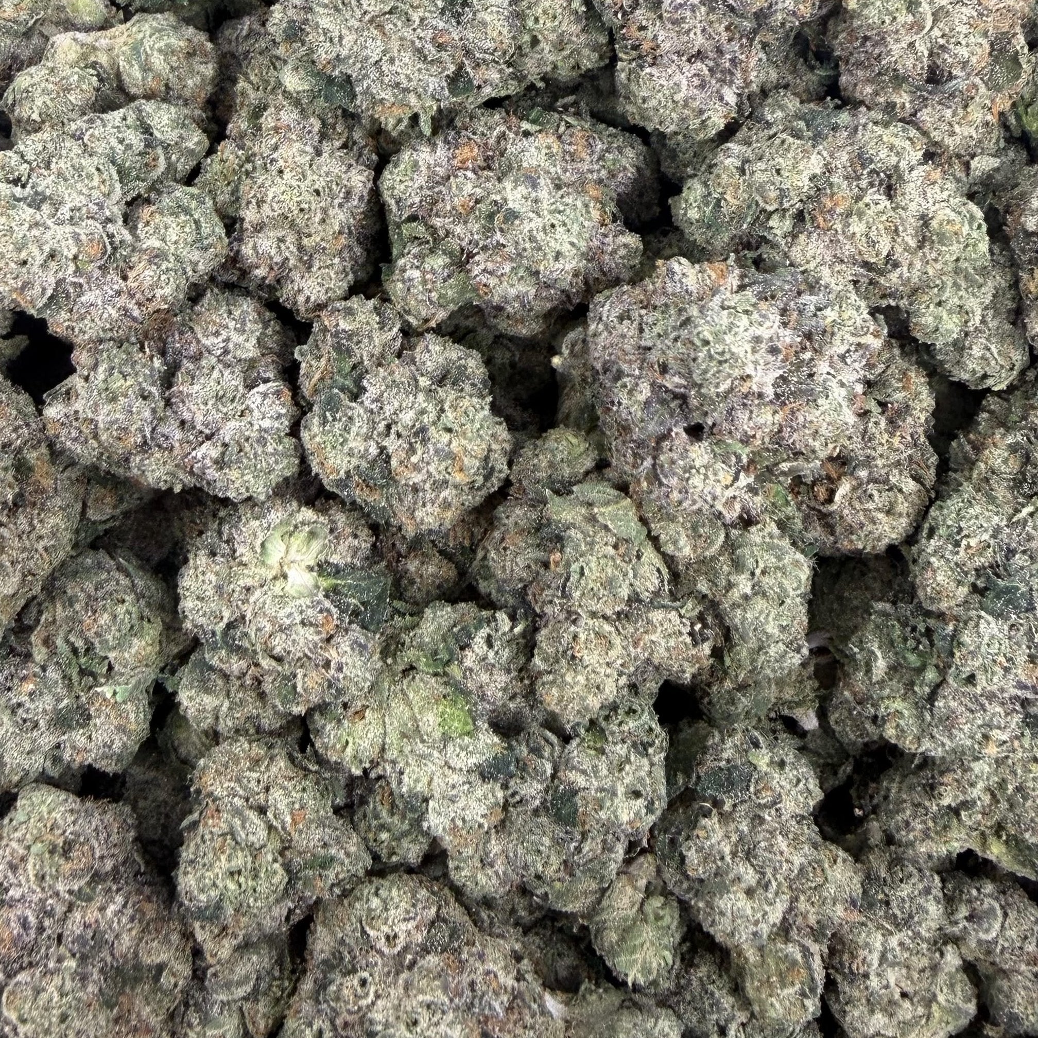 Heir Heads bulk THCA flower — Plain Jane 1 lb