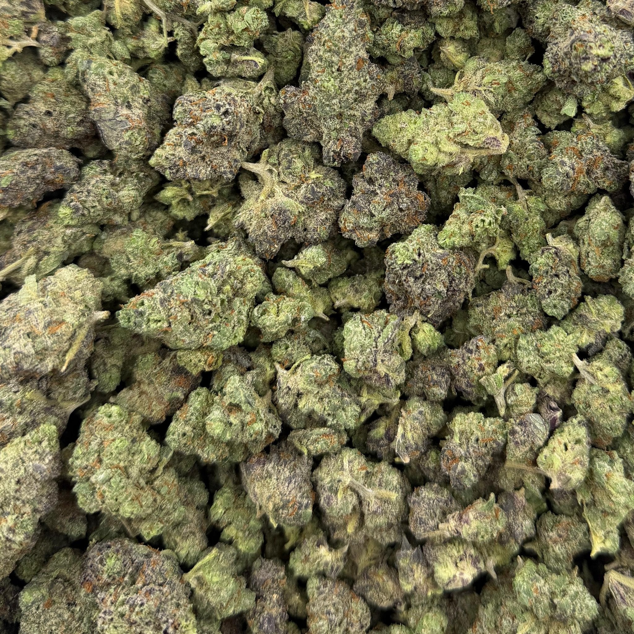 Hella Jelly bulk THCA flower — Plain Jane 1 lb