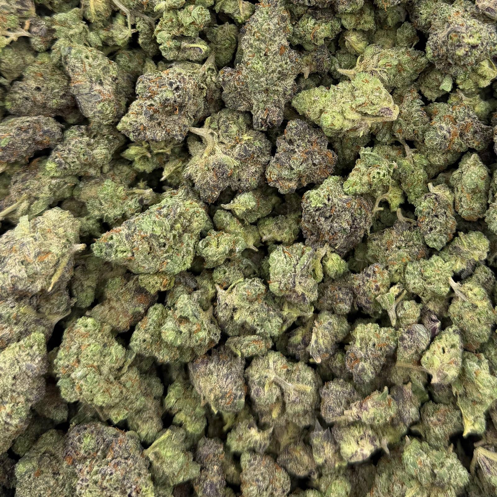 Hella Jelly bulk THCA flower — Plain Jane 1 lb