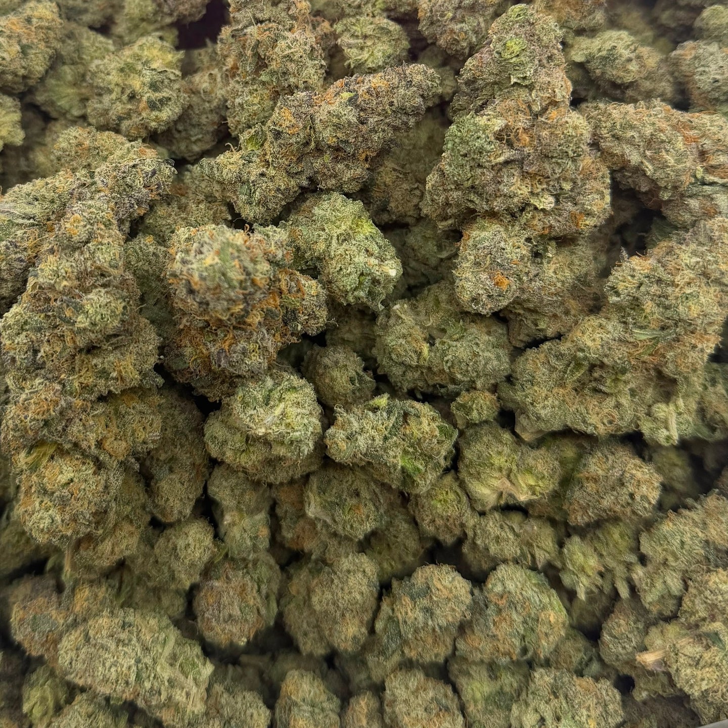 Hooch bulk THCA flower — Plain Jane 1 lb