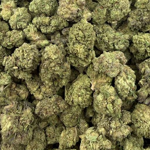 Huckleberry bulk THCA flower — Plain Jane 1 lb