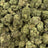 Huckleberry bulk THCA flower — Plain Jane 1 lb
