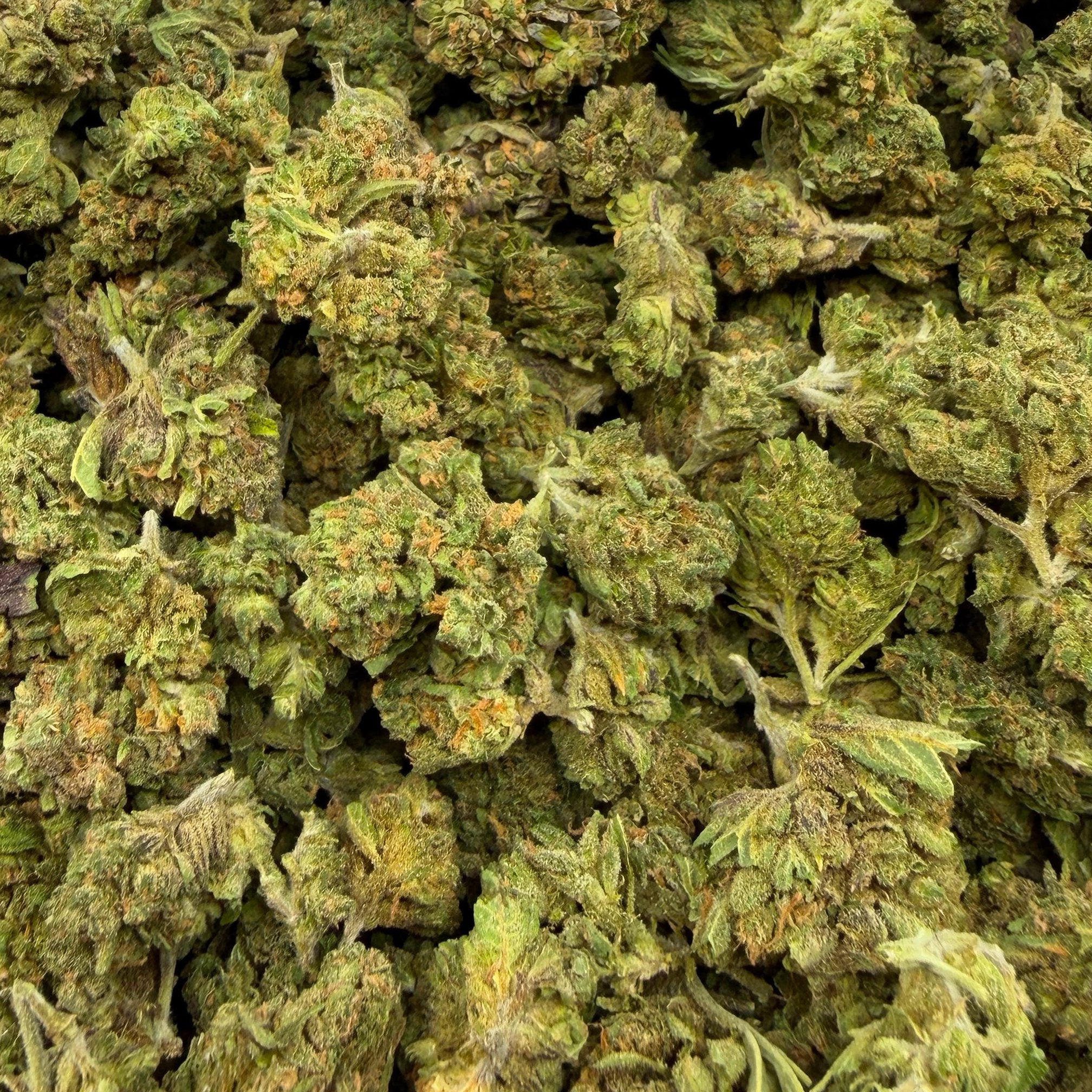 Huckleberry bulk THCA flower — Plain Jane 1 lb