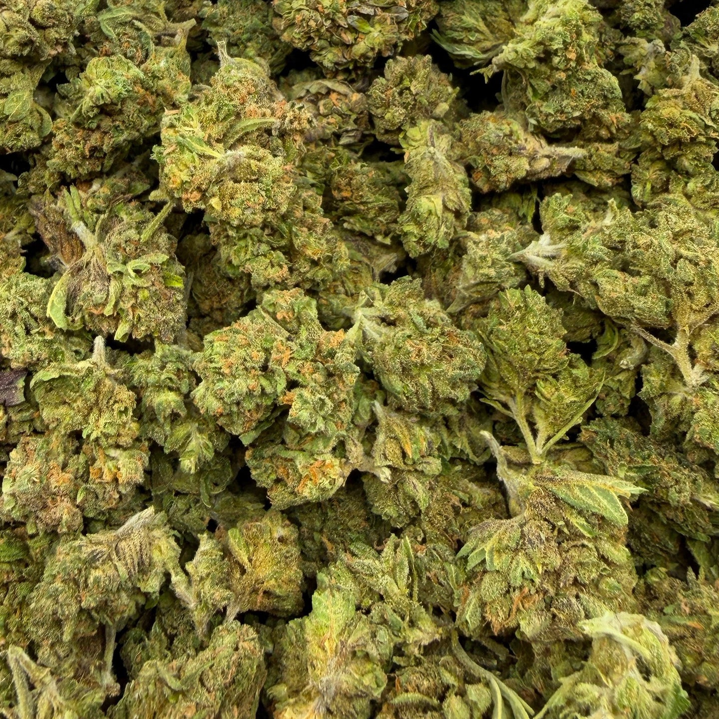 Huckleberry bulk THCA flower — Plain Jane 1 lb