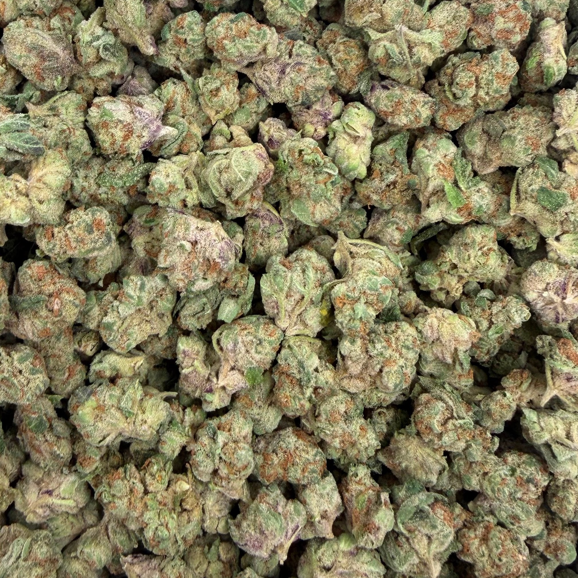Hustler Fuel bulk THCA flower — Plain Jane 1 lb