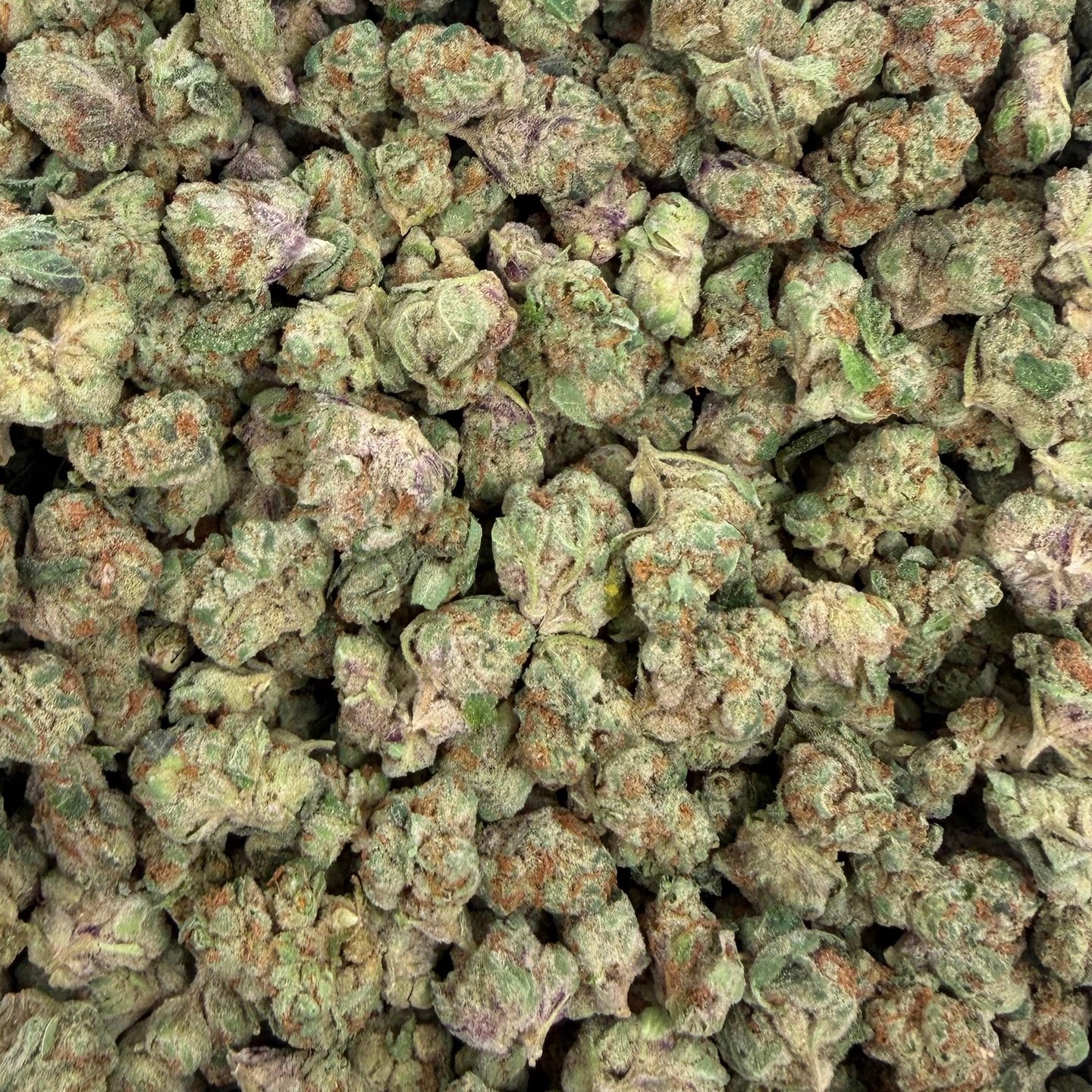 Hustler Fuel bulk THCA flower — Plain Jane 1 lb