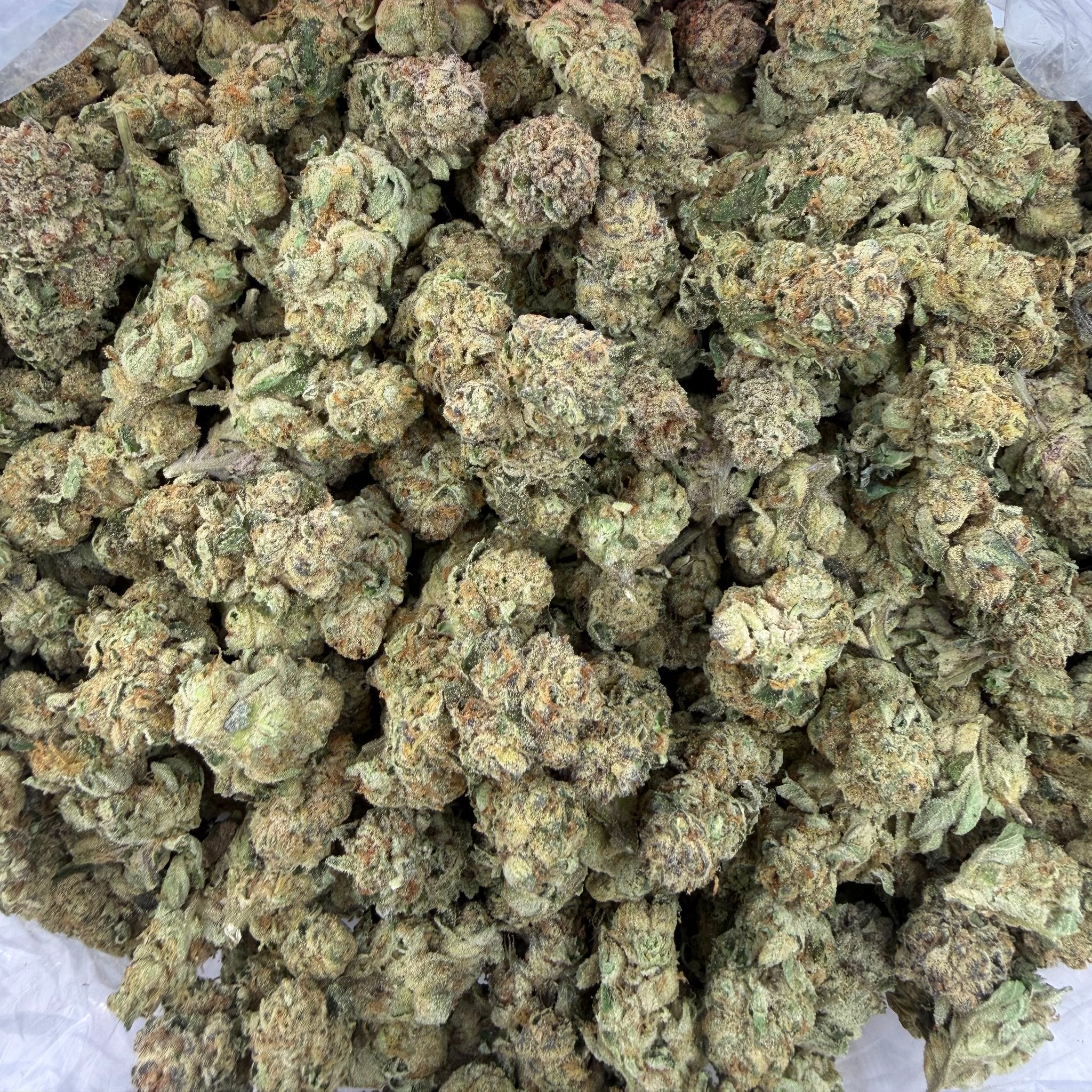 Ice Caps bulk THCA flower — Plain Jane 1 lb