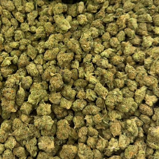 Ice Caps bulk THCA flower — Plain Jane 1 lb