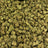 Ice Caps bulk THCA flower — Plain Jane 1 lb