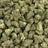 Ice Cream Sherb bulk THCA flower — Plain Jane 1 lb