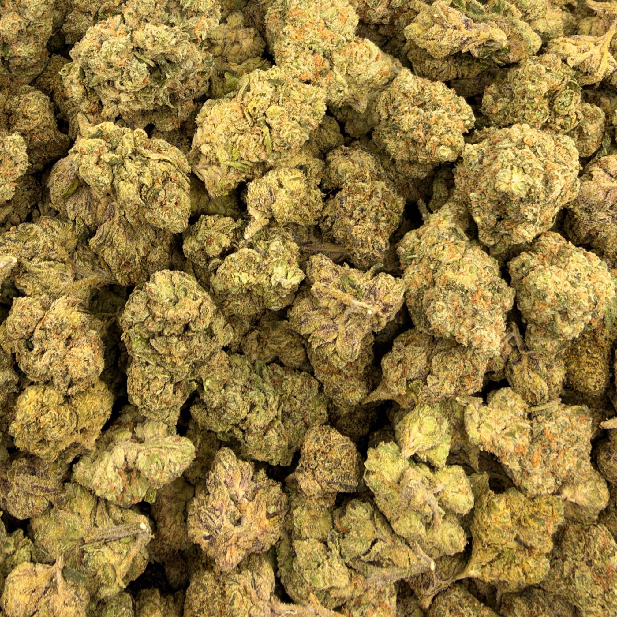Iced Lemonade bulk THCA flower — Plain Jane 1 lb