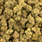 Iced Lemonade bulk THCA flower — Plain Jane 1 lb