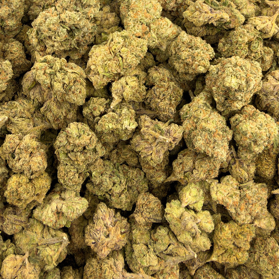 Iced Lemonade (Light-Assisted) – Bulk THCA Flower 1 lb
