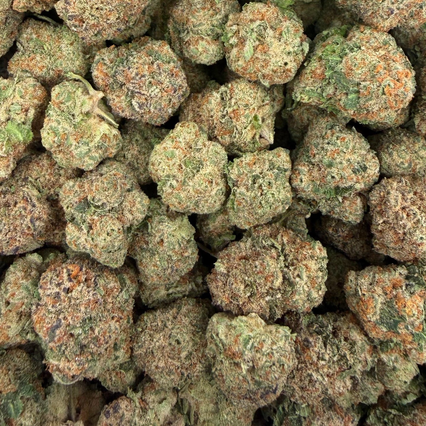 Illemonati bulk THCA flower — Plain Jane 1 lb