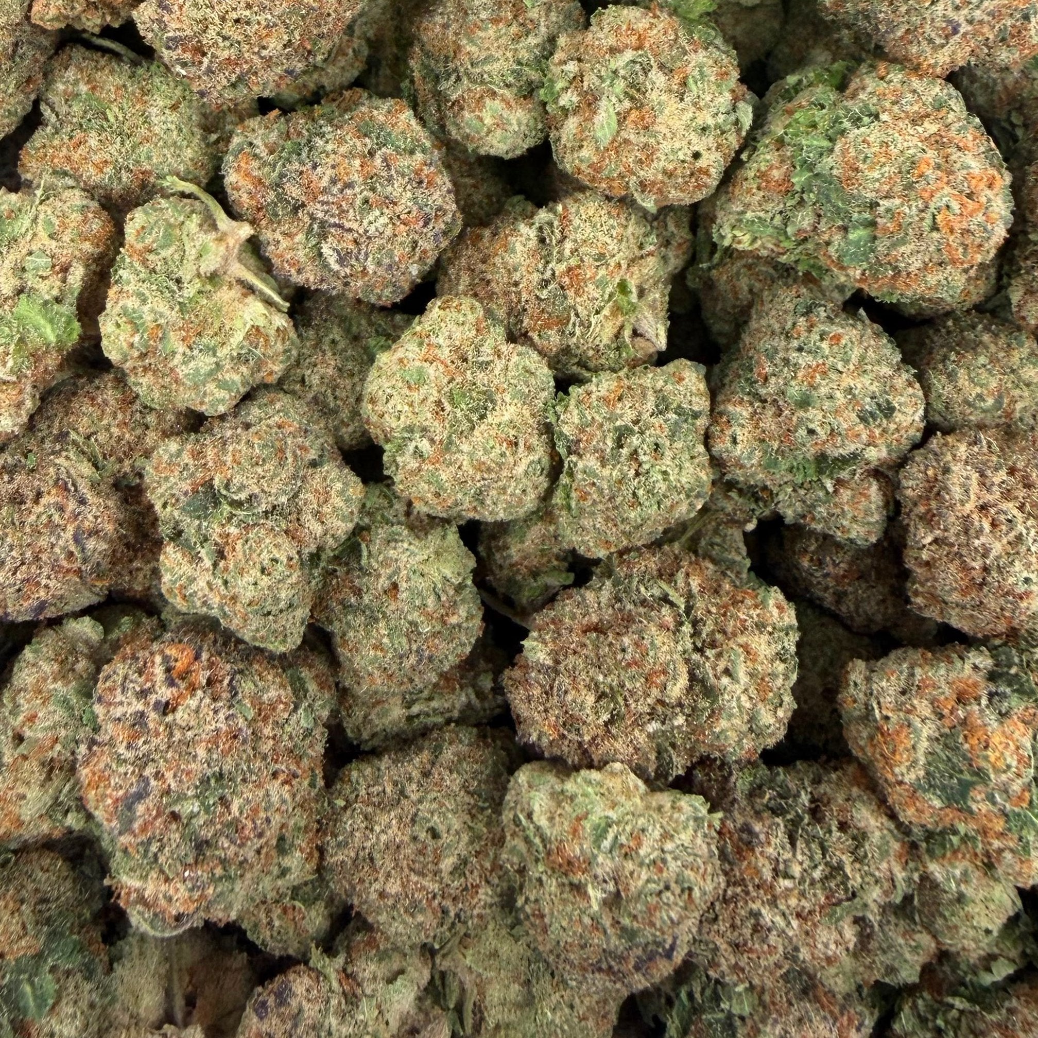 Illemonati bulk THCA flower — Plain Jane 1 lb