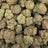 Illemonati bulk THCA flower — Plain Jane 1 lb