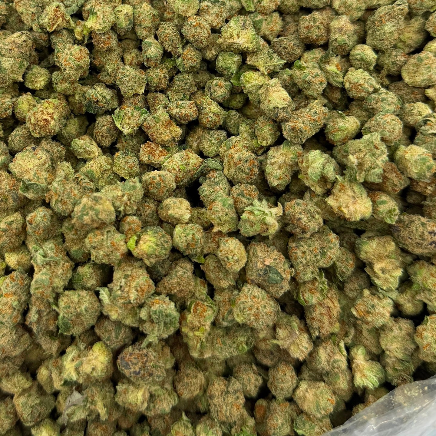 Illemonati bulk THCA flower — Plain Jane 1 lb