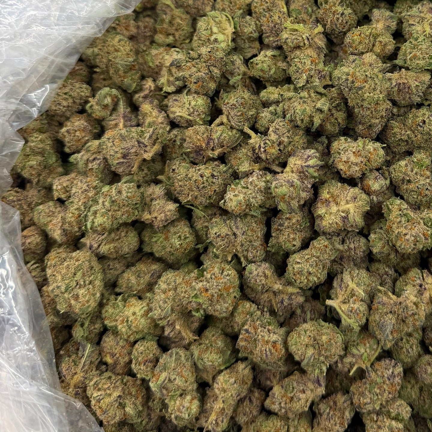 Illemonati bulk THCA flower — Plain Jane 1 lb