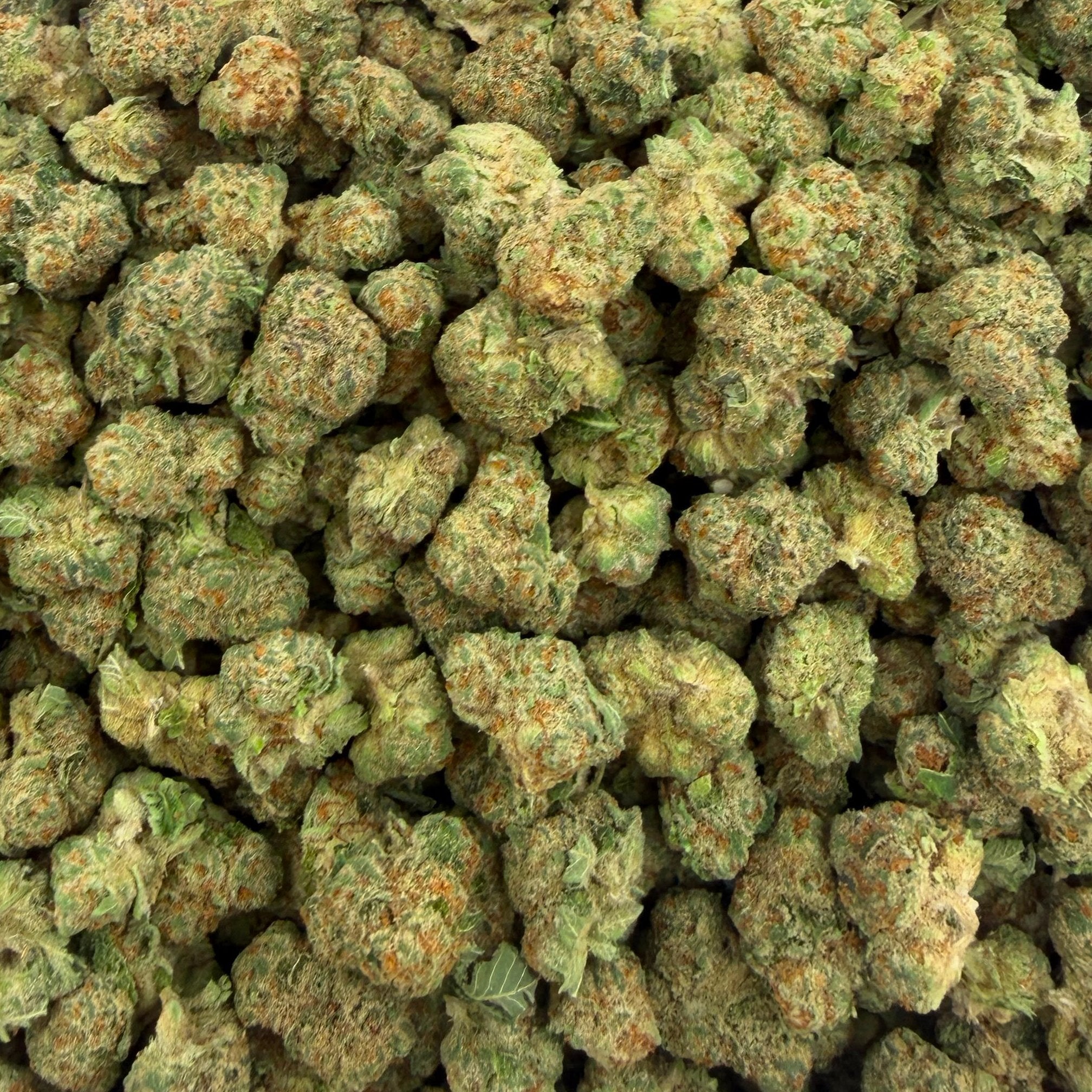 Illemonati bulk THCA flower — Plain Jane 1 lb