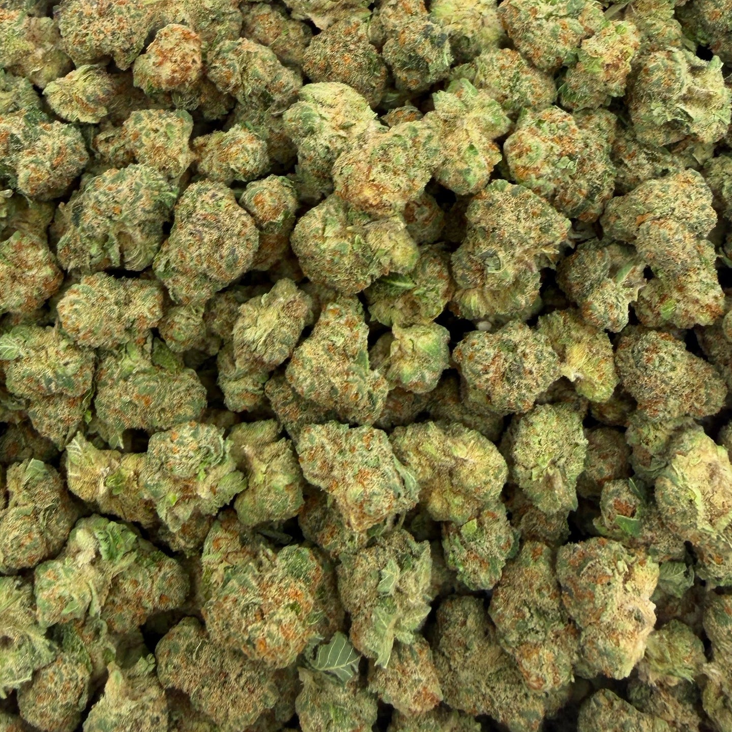 Illemonati bulk THCA flower — Plain Jane 1 lb