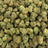 Illemonati bulk THCA flower — Plain Jane 1 lb