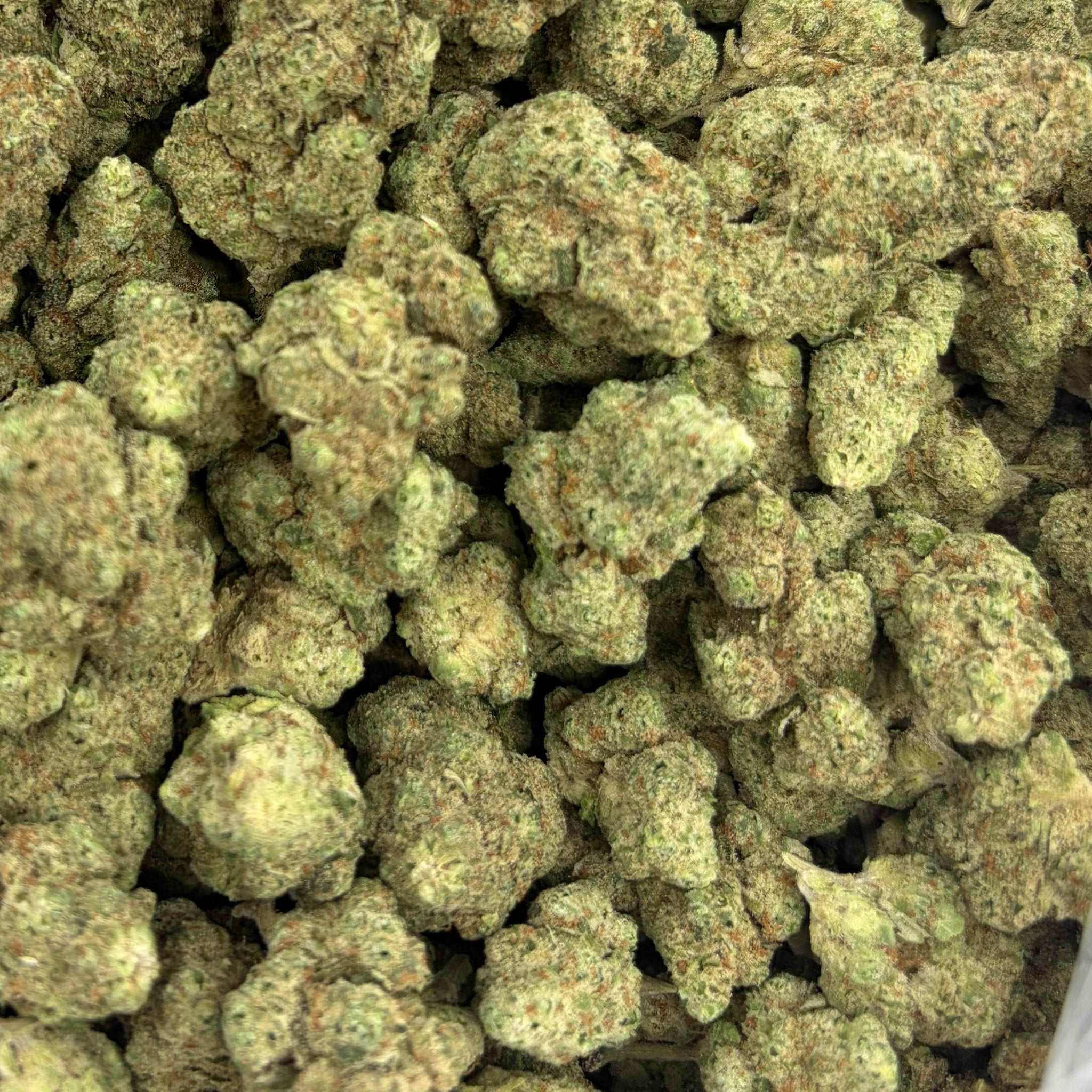 Illuminati bulk THCA flower — Plain Jane 1 lb