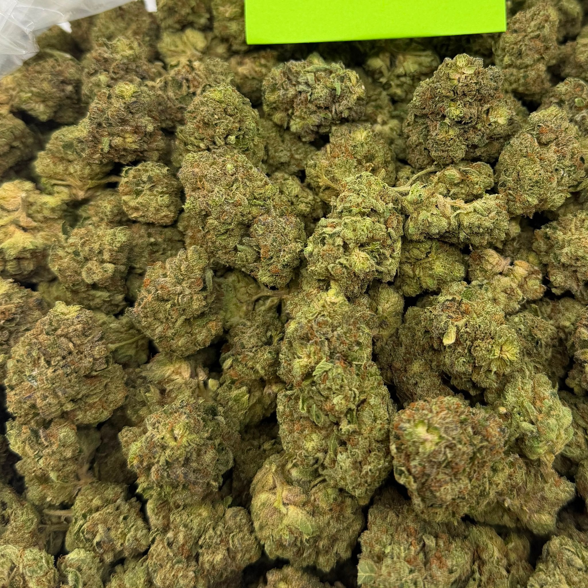 Italian Ice bulk THCA flower — Plain Jane 1 lb