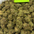 Italian Ice bulk THCA flower — Plain Jane 1 lb