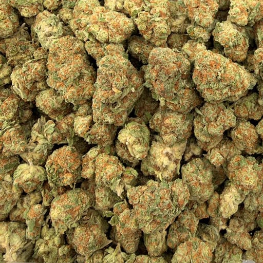 Italian Ice (Light-Assisted) – Bulk THCA Flower 1 lb