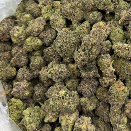 Jealousy bulk THCA flower — Plain Jane 1 lb