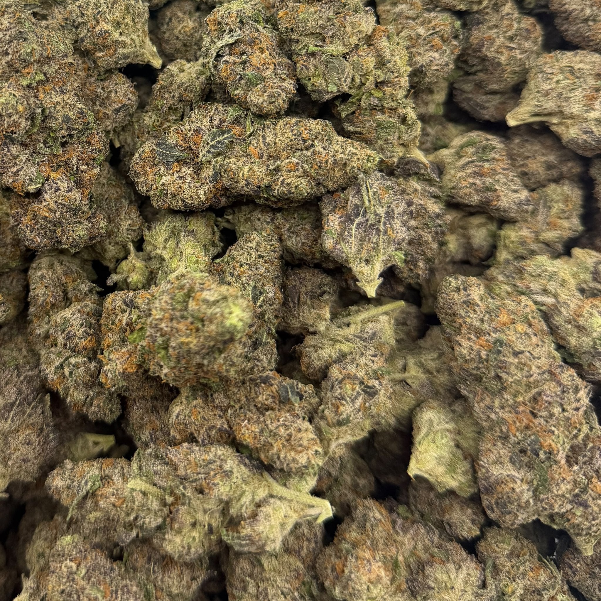 Jealousy bulk THCA flower — Plain Jane 1 lb