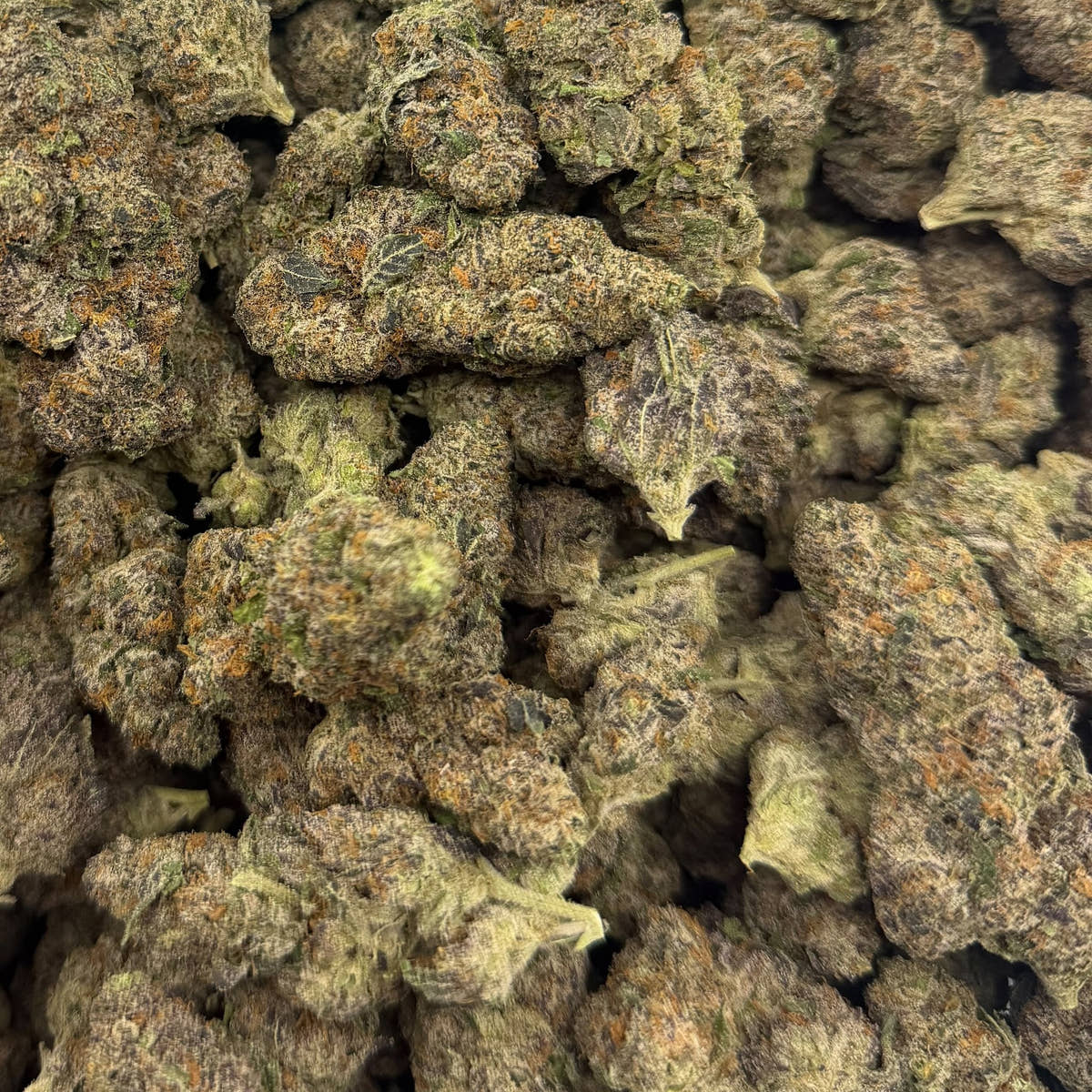 Jealousy bulk THCA flower — Plain Jane 1 lb