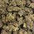 Jealousy bulk THCA flower — Plain Jane 1 lb
