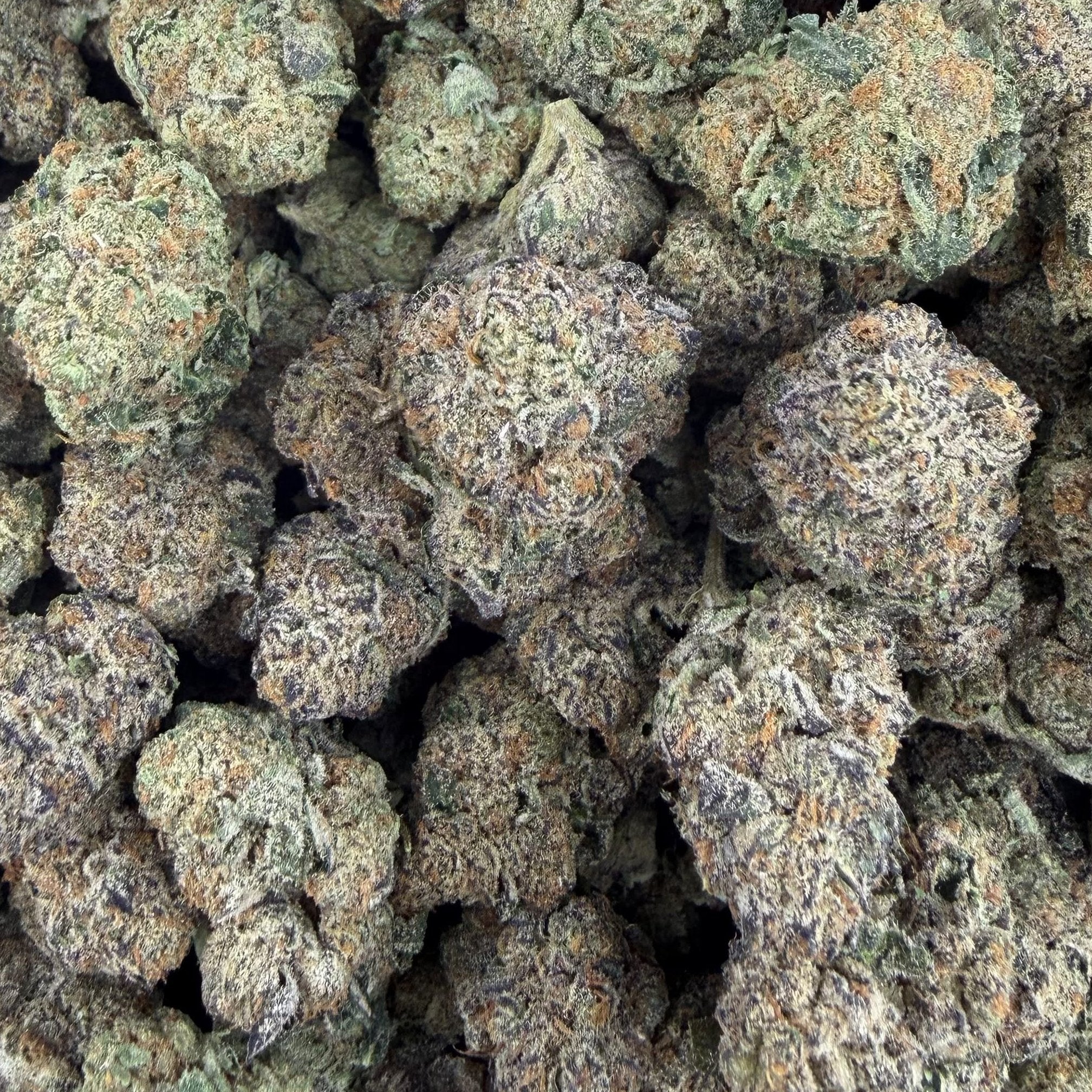 Jealousy Driver bulk THCA flower — Plain Jane 1 lb